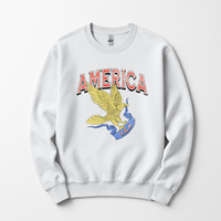 America Eagle Graphic Sweatshirt