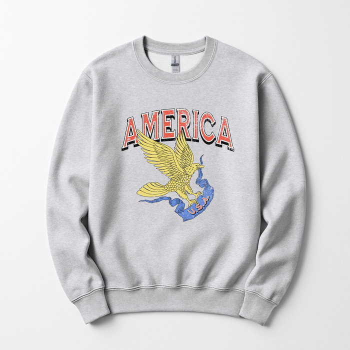 America Eagle Graphic Sweatshirt